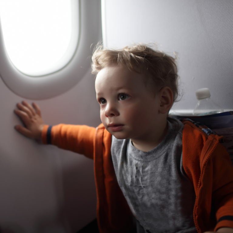 How to Fly With Toddlers and Young Kids 7 Tips for Success LM Chamber